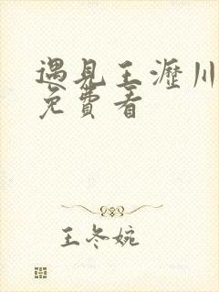 遇见王沥川全集免费看