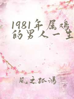 1981年属鸡的男人一生的命运