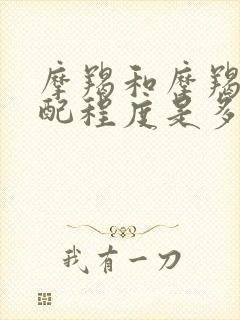 摩羯和摩羯座匹配程度是多少