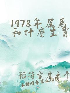 1978年属马和什么生肖最配