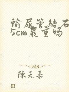 输尿管结石0.5cm严重吗