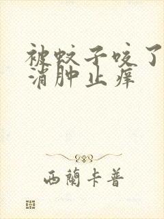 被蚊子咬了如何消肿止痒