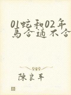 01蛇和02年马合适不合适
