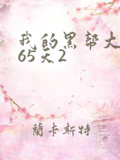 我的黑帮大佬365天2