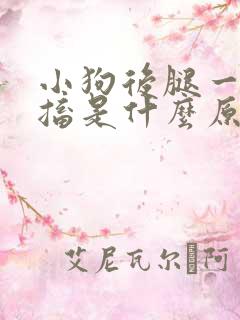 小狗后腿一直抽搐是什么原因