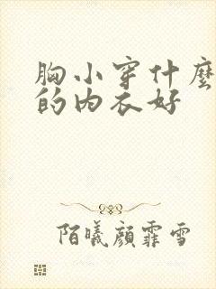 胸小穿什么牌子的内衣好