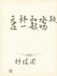 天秤和水瓶适合在一起吗