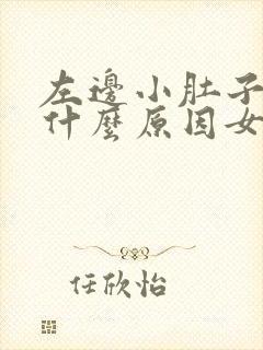 左边小肚子酸痛什么原因女性