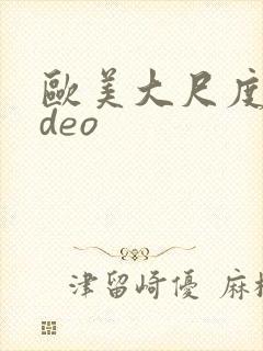 欧美大尺度video