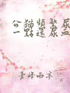 公猫频繁尿只尿一点还尿血总舔