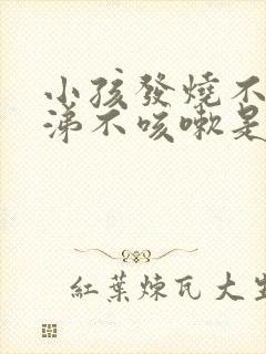 小孩发烧不流鼻涕不咳嗽是什么原因