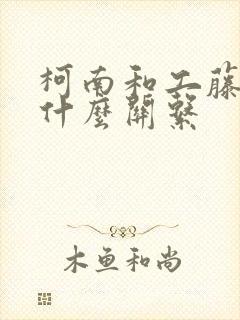 柯南和工藤新一什么关系