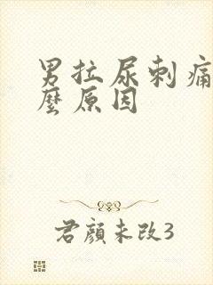 男拉尿刺痛是什么原因