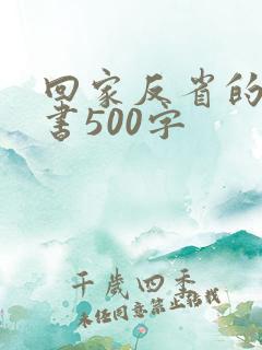 回家反省的检讨书500字