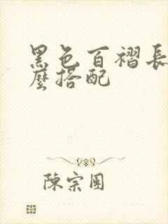 黑色百褶长裙怎么搭配