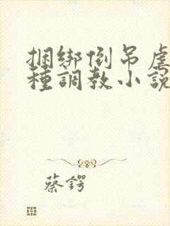 捆绑倒吊虐乳各种调教小说