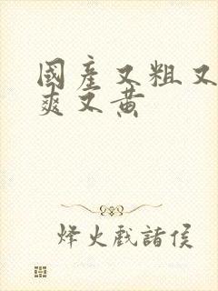 国产又粗又猛又爽又黄