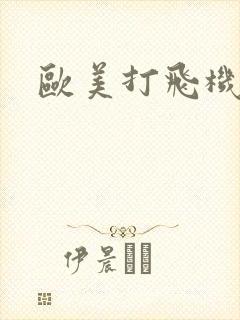 欧美打飞机.