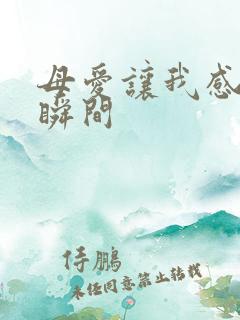 母爱让我感动的瞬间