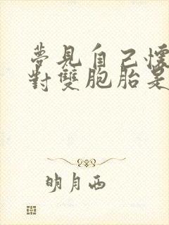 梦见自己怀了一对双胞胎是什么意思