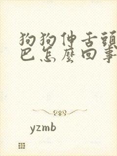 狗狗伸舌头舔嘴巴怎么回事