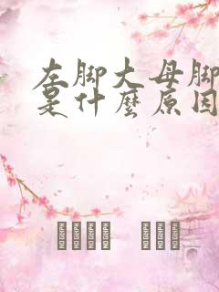 左脚大母脚趾麻是什么原因