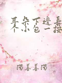 耳朵下边长了一个小包一按就疼