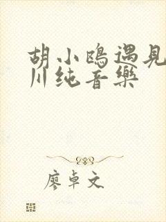 胡小鸥遇见王沥川纯音乐