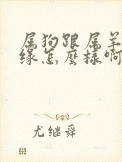 属狗跟属羊的姻缘怎么样啊