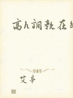 高h调教在线