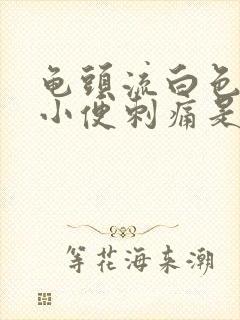 龟头流白色液体小便刺痛是怎么回事