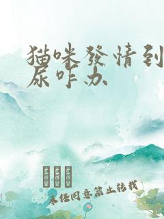 猫咪发情到处乱尿咋办