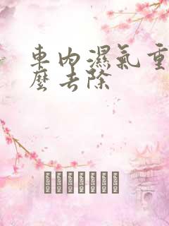 车内湿气重是怎么去除