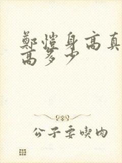 郑恺身高真实身高多少