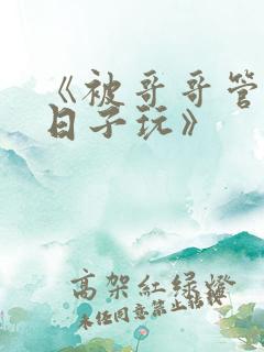 《被哥哥管教的日子玩》