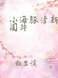 小海豚清新唯美图片