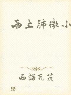 两上肺微小结节