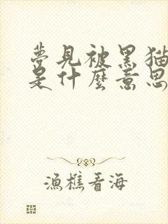 梦见被黑猫咬了是什么意思啊