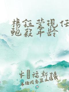 杨钰莹现任老公鲍毅年龄