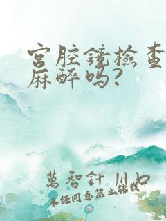 宫腔镜检查需要麻醉吗?