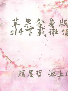 苹果分身版ios14下载微信