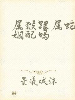 属猴跟属蛇的婚姻配吗