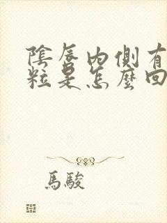 阴唇内侧有小粒粒是怎么回事