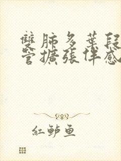 双肺多叶段支气管扩张伴感染