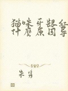 猫咪牙龈红肿是什么原因导致的