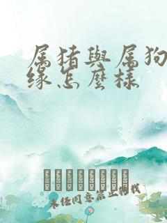 属猪与属狗的姻缘怎么样