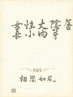 女性大阴唇内侧长小肉芽