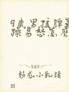 9岁男孩脾气暴躁易怒怎么办