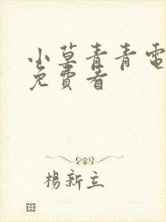 小草青青电视剧免费看