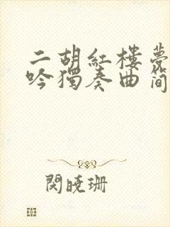 二胡红楼梦葬花吟独奏曲简谱